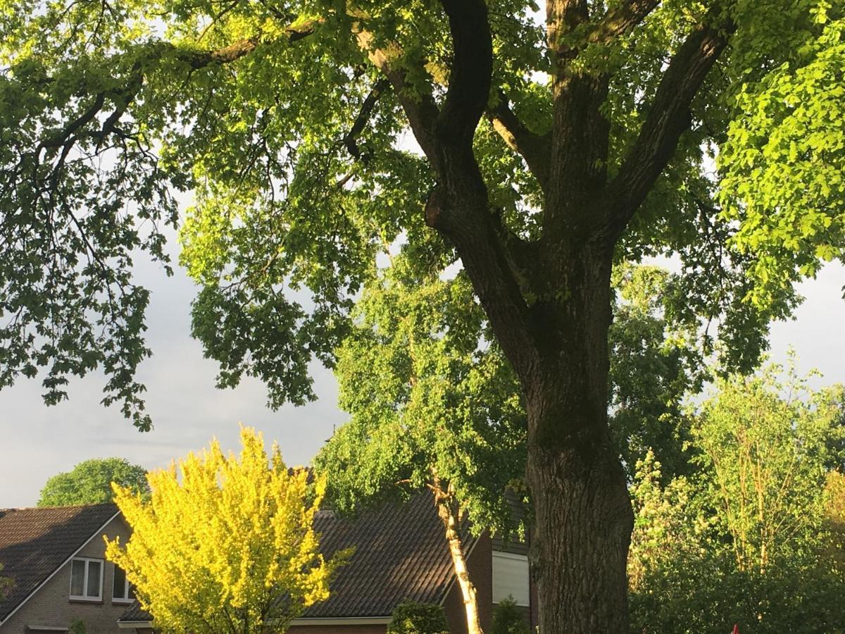 Villa 14 Otterlo Eksteriør bilde
