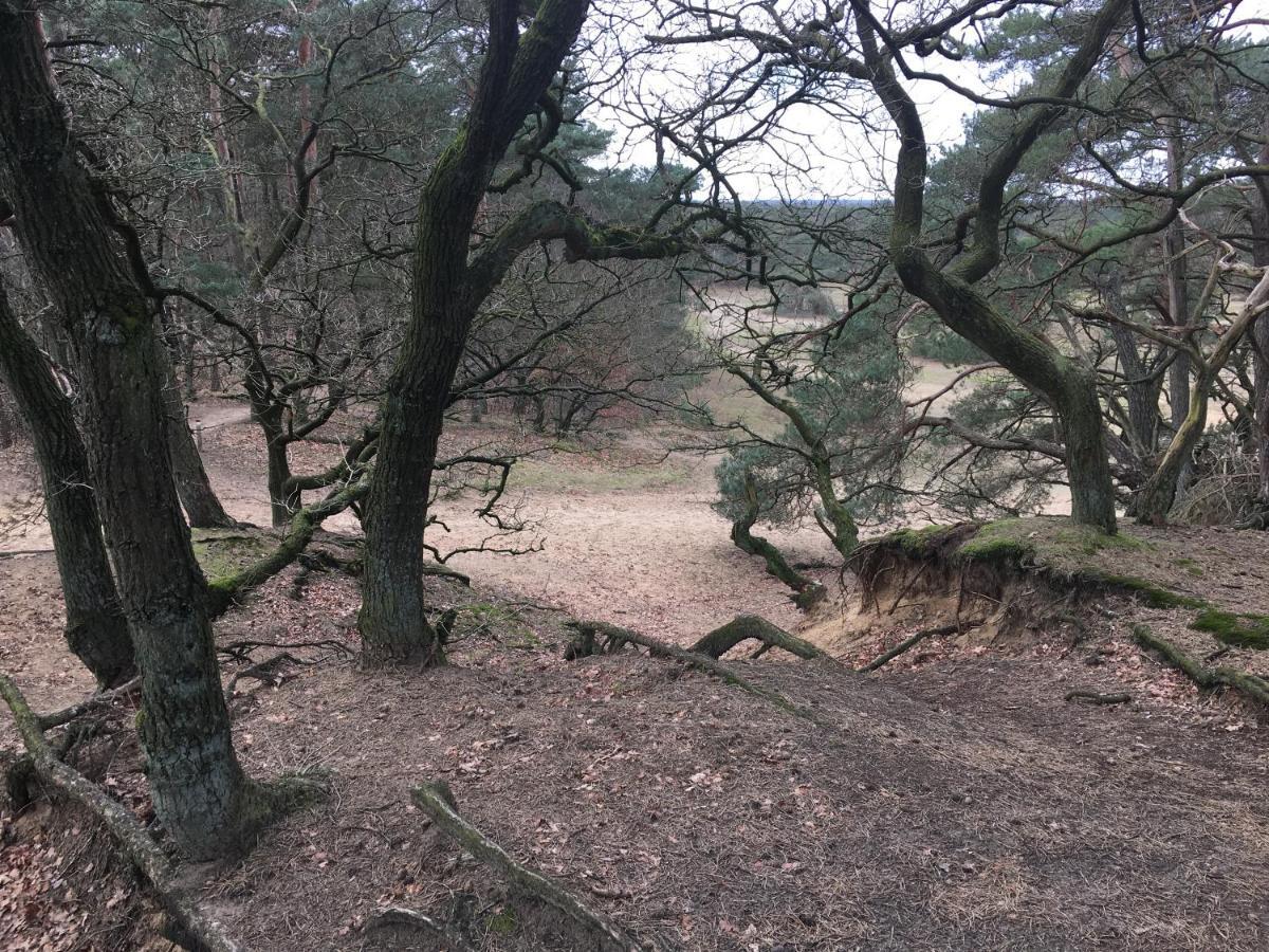 Villa 14 Otterlo Eksteriør bilde